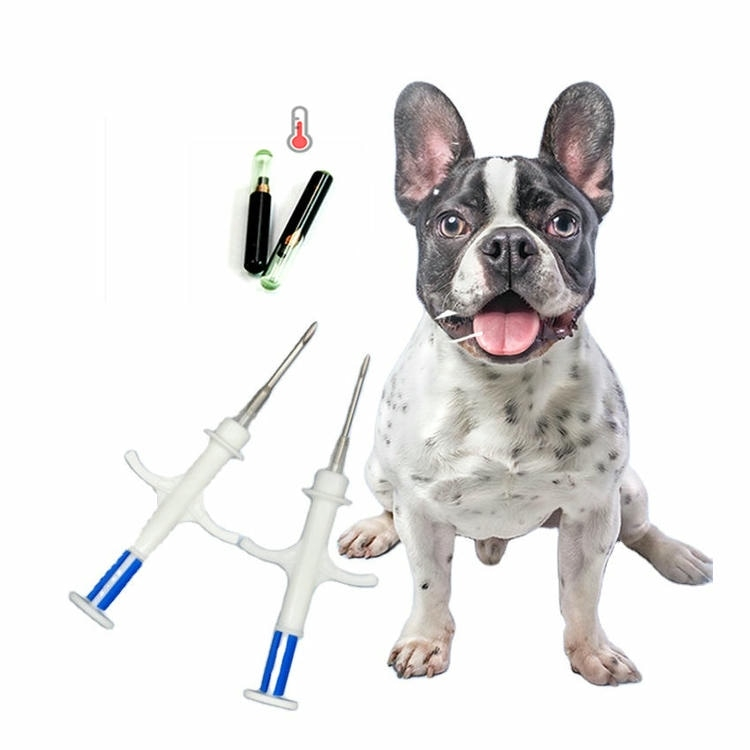 En hund med to injektorsprøjter og RFID-mikrochips i bioglas illustrerer et forladet implantationssæt til identifikation af kæledyr.