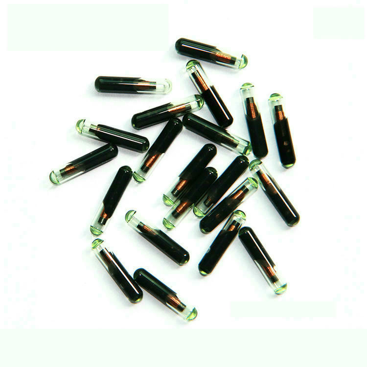 Flere G-005 bioglas RFID-mikrochips viser den ensartede kapseldesign til dyreidentifikationsprogrammer.