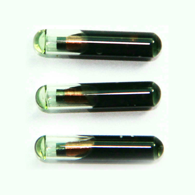 Nærbillede af tre G-005 bioglas RFID-mikrochips med forseglet glaskapsel og intern spole.