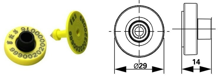 Teknisk tegning med målene D29x14mm og konstruktionen med gennemgående hul i E004 RFID-øremærket til dyreidentifikation